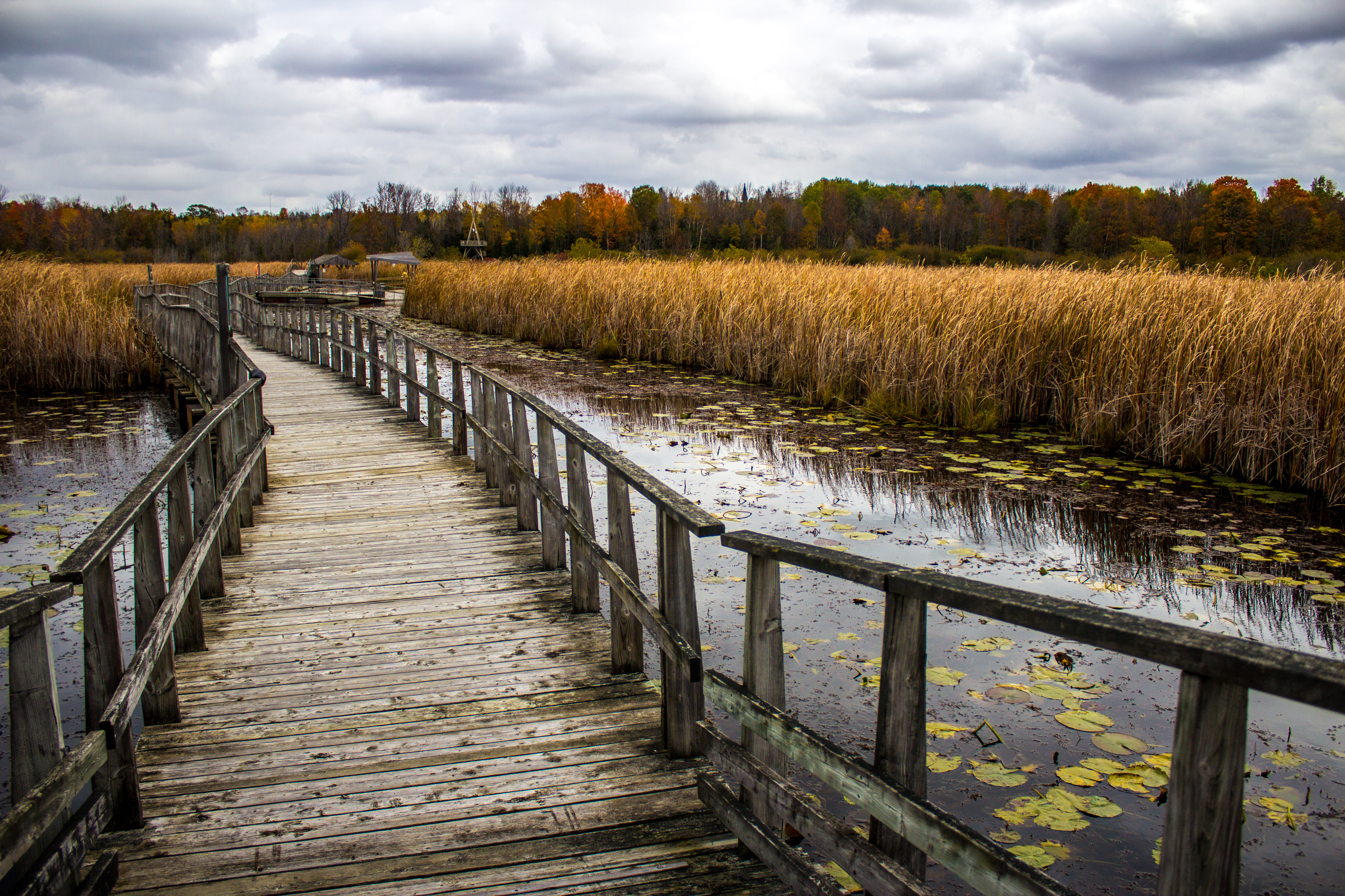 Old Marsh Boardwalk